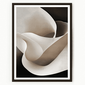 White Petals No2