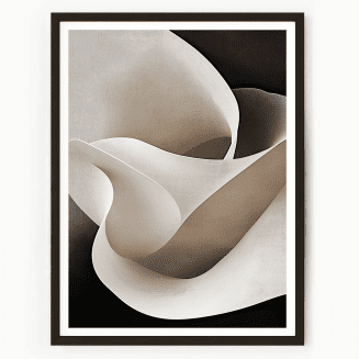 White Petals No2