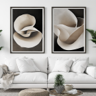 White-Petal-x2-over-couch